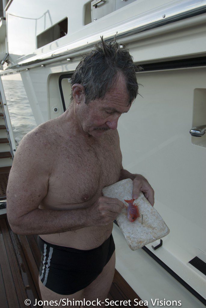 Gerry inspects a newly collected specimen.